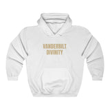 Vanderbilt Divinity Unisex Heavy Blend™ Hooded Sweatshirt